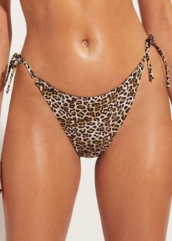 Calzedonia String Malindi Bikiniunderdel Dam Bruna | SE2588BC