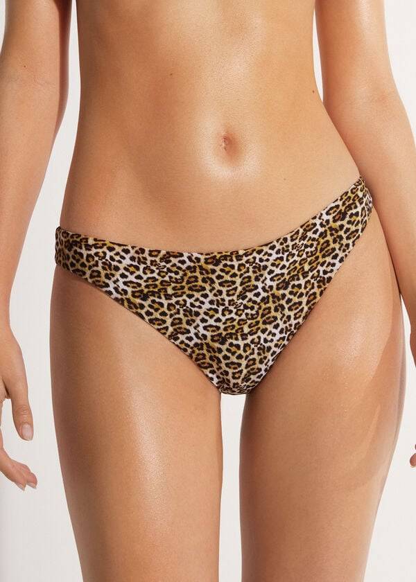 Calzedonia Malindi Bikiniunderdel Dam Bruna | SE2692JJ